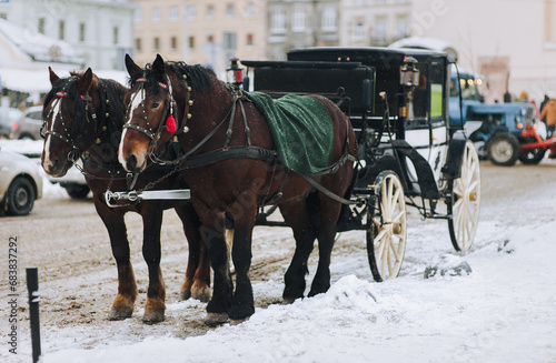Two walking dark brown horses covered with blankets stand at the crossroads of streets during a snowfall. Carriage for tourists. Lviv, Ukraine. © shchus