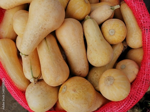 pumpkin in the market