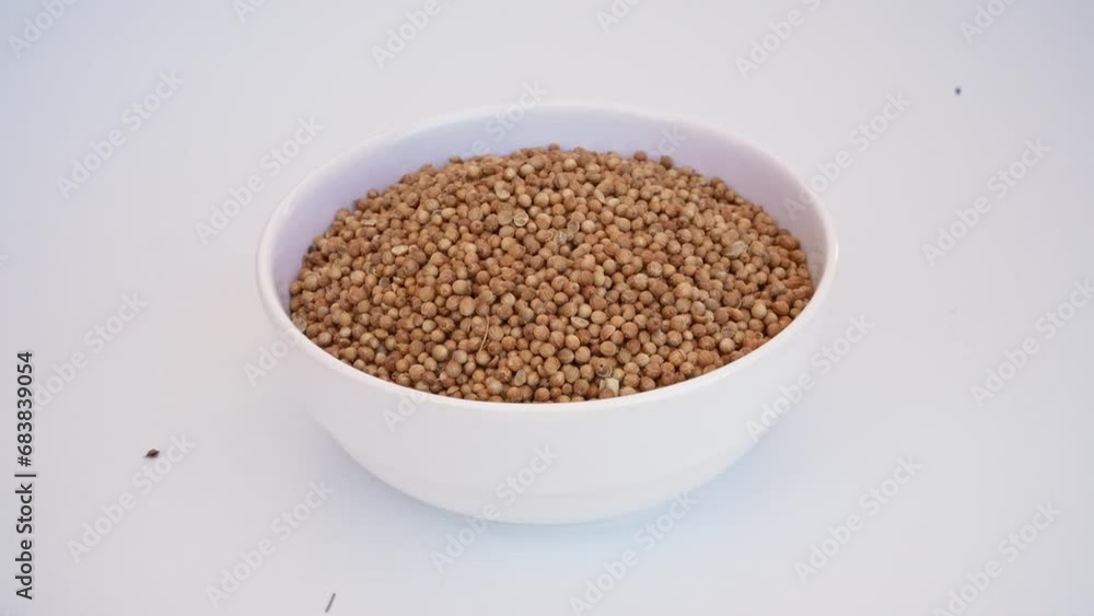 coriander seeds falling on a white plate on a white background
coriander seeds falling on a white plate on a white background