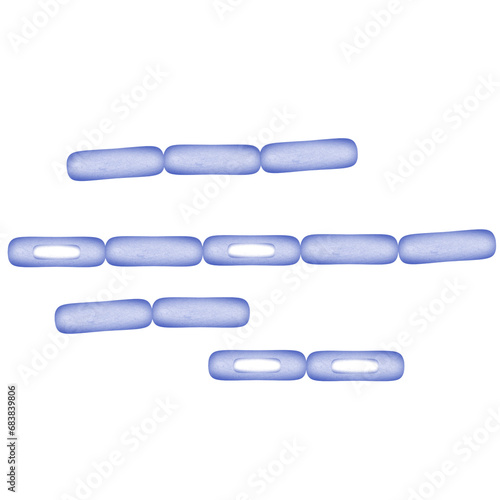 Microorganisms or bacteria. photo