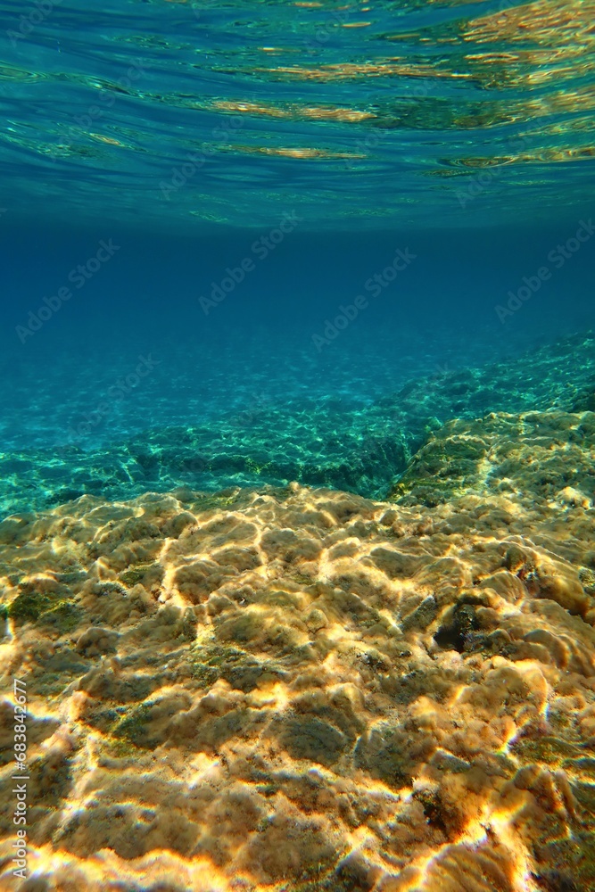 Underwater landscape, turquoise ocean with rock and calm water surface. Seascape in the shallow sea, underwater photography from snorkeling. Green blue sea, travel picture.