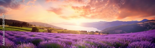 A field of lavender in a sunset