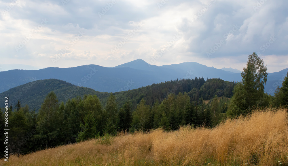 Fototapeta premium Amazing mountain landscape. Morning panorama of the forest, pine trees and silhouettes of mountains
