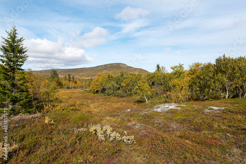 Auf dem Helagsfjäll in Jämtland in Schweden im Herbst 