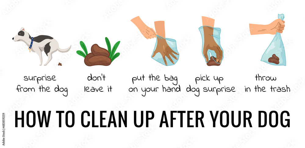 Dog poo clean up steps infographic set. poster about hygiene animal ...