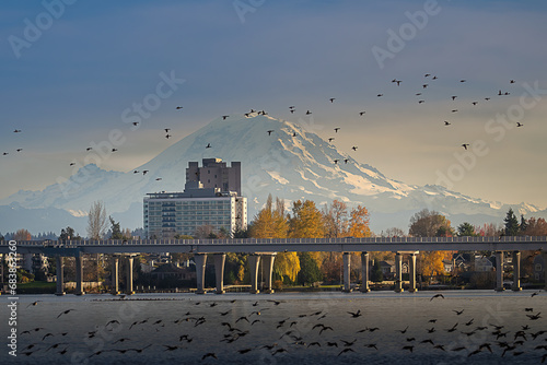 2023-11-20 MT RAINIER WITH CITY BUILDINGS AND THE 520 FLOATING BRIDGE WITH THE UNION BAY NATURAL AREA BY THE UNIVERSITY OF WASHINGTON