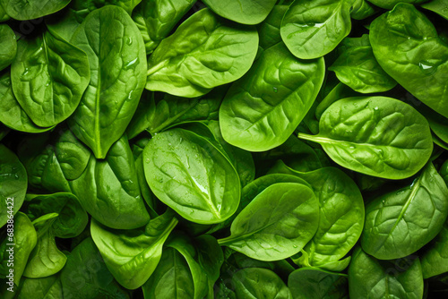 Fresh spinach leaves background. Top view, flat lay, copy space