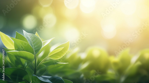 Beautiful Nature View with Green Leaf Foliage Background