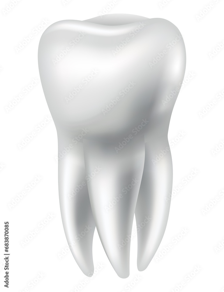Tooth anatomy. Medical banner or poster illustration. Realistic white tooth mockup. dental symbol. Healthy white tooth Tooth anatomy. Medical banner or poster illustration. Realistic white tooth mockup. dental symbol. Healthy white tooth