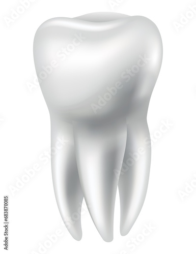 Tooth anatomy. Medical banner or poster illustration. Realistic white tooth mockup. dental symbol. Healthy white tooth