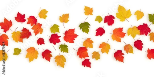 Colorful leaves falls empty space in center on white background