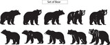 various bear silhouettes on the white background
