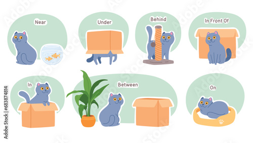 Learning positions in space in relation to objects, spatial awareness words set. Cute pet cat near, under, behind, between, on, in front of box. Position perception vocabulary education illustration