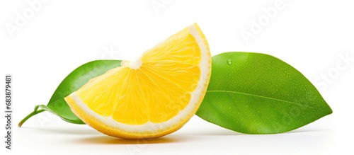 The green, thin slice of lemon, isolated in a white background, gently rests on a leaf, embellishing the white-orange fruit with its zestful aroma, while a set of organic, red and yellow leaves adds a