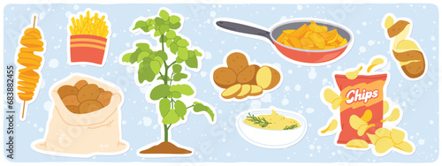 Potato plant, mash, chips, french fries products set. Raw potatoes in sack, fried, boiled, whole and sliced root vegetables stickers. Organic food ingredient, cooking flat vector illustration