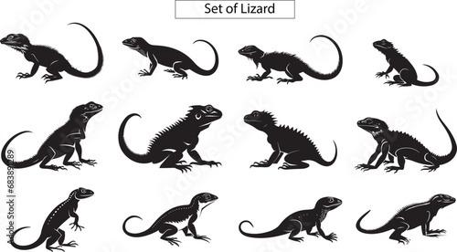 set of silhouettes Lizard © Muhammad