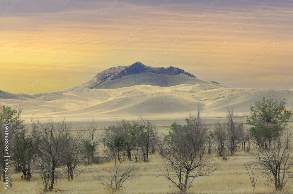 prairie, plain, desert. Finding solace in the golden shades of the desert Desert Dreams