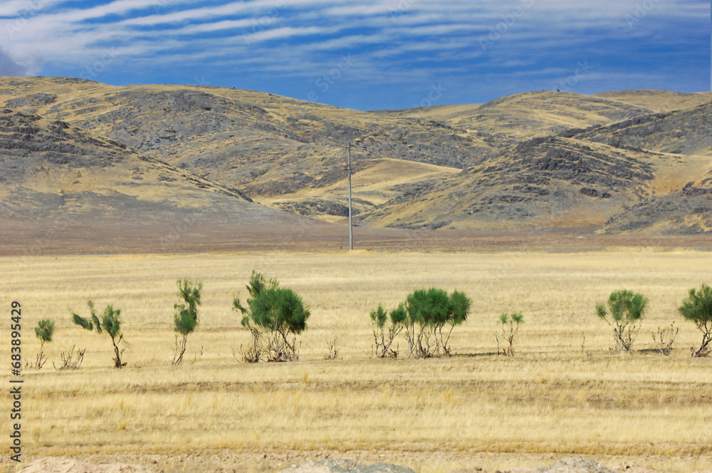 prairie, plain, desert. Discover beauty in solitude with this lone tree against the vast desert backdrop of Desert Treasure
