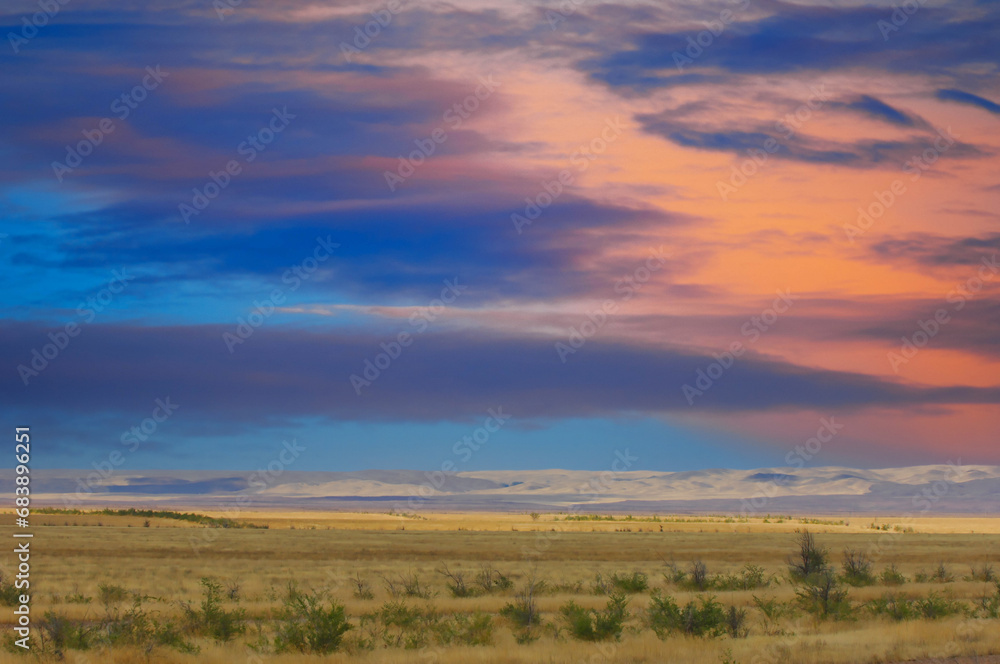 prairie, plain, desert. A picturesque oasis among the endless expanses of golden sand Desert Beauty