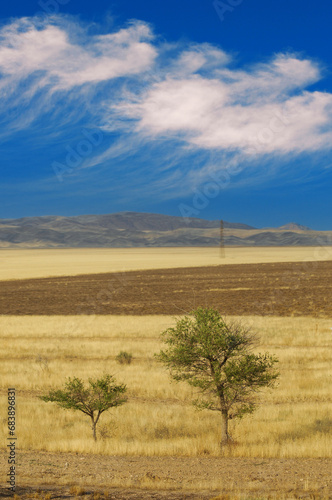 Steppe  prairie  plain  pampa. Witness the grand finale of the day as the sun gracefully sets below the desert horizon. Desert Delights Evening Splendor