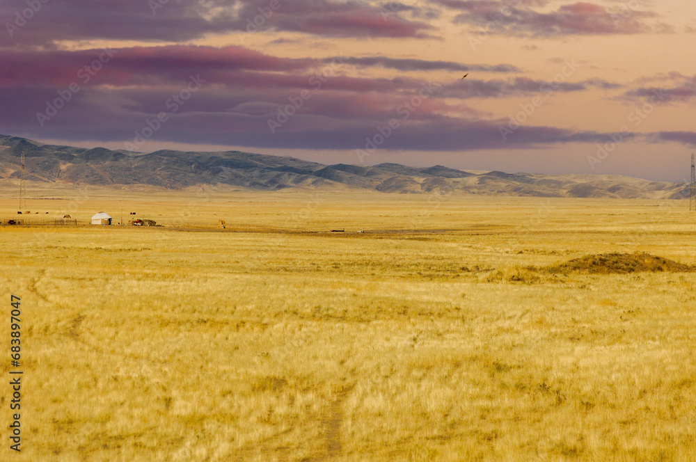 Steppe, prairie, plain, pampa. The desert landscape transforms into a surreal dreamscape as the sun sets, casting a golden glow that immerses the dunes in the pure magic of Desert Sunsets