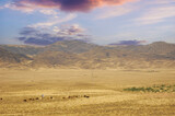 Steppe, prairie, plain, pampa. Majestic mountain peaks overlooking vast expanses of golden sand dunes Desert Adventures
