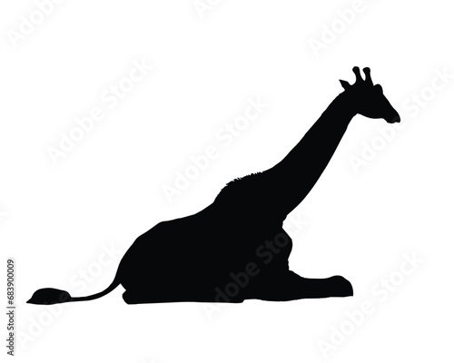 Giraffe Silhouette. Giraffe Vector Illustration.