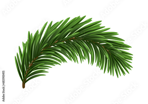 Green Christmas Fir Branch