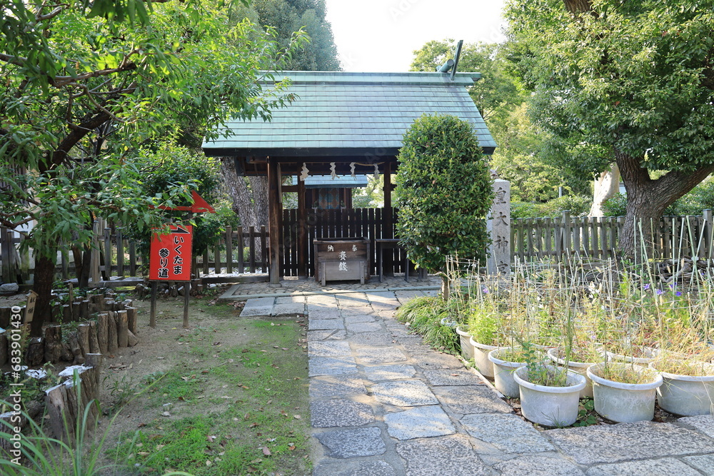 A Japanese shrine : a scene of Kotai-jingu Subordinate Shrine in the precincts of Ikukunitama-jinjya Shrine in Osaka City　日本の神社：大阪市の生國魂神社境内にある摂社皇大神宮の風景