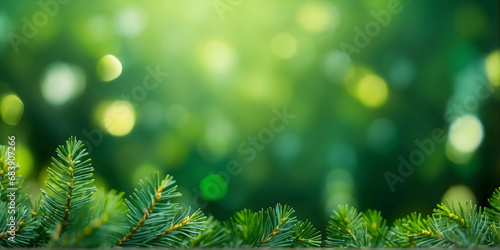 Pine Leaves on Abstract Blurred Background with Beautiful Bokeh. Green Colors Background for Text Copy Space. Super Resolution