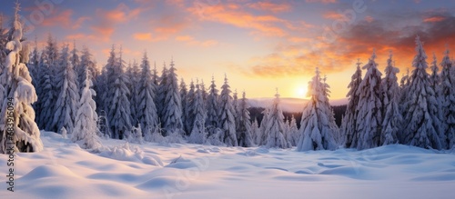 In the winter landscape, a thick blanket of snow covered the forest, creating a stunning and serene scene. The majestic fir trees stood tall, their branches adorned with frost and ice, glistening © AkuAku