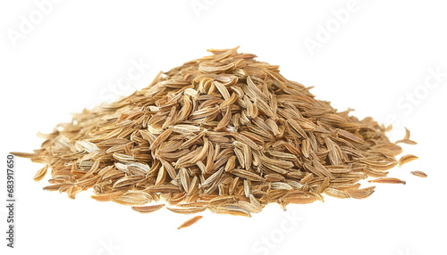 caraway isolated on white background, cut out  photo