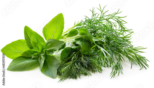 Herbs, basil, chives, parsley, dill isolated on white background, cut out