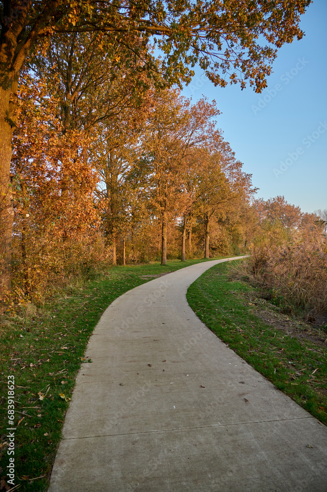 The setting sun gives autumn colors to the trees next to a beautiful walking path The setting sun gives autumn colors to the trees next to a beautiful walking path