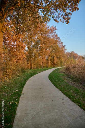The setting sun gives autumn colors to the trees next to a beautiful walking path