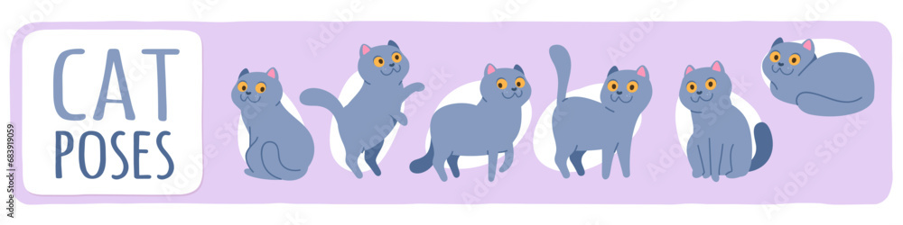 Funny cat pet poses set. Cute kitten animal smiling, sitting, standing, playing, lying in different positions collection. Adorable purebred domestic animal characters flat vector illustration Funny cat pet poses set. Cute kitten animal smiling, sitting, standing, playing, lying in different positions collection. Adorable purebred domestic animal characters flat vector illustration