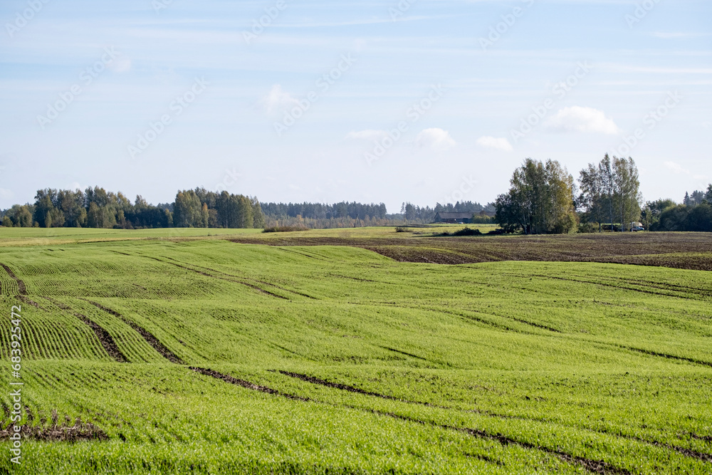 green field, agricultural field, trees in distance, Latvia landscape, cloudy sky, flat earth