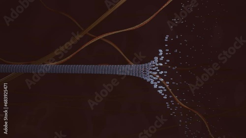 Microtubules in Motion: Navigating Cellular Highways with Motor Proteins photo