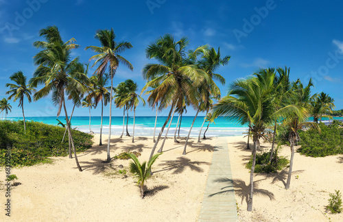 Pristine and bounty caribbean shore with coconut palm trees and turquoise sea. Tropical nature. Macao beach. Dominican Republic. Aerial view © photopixel