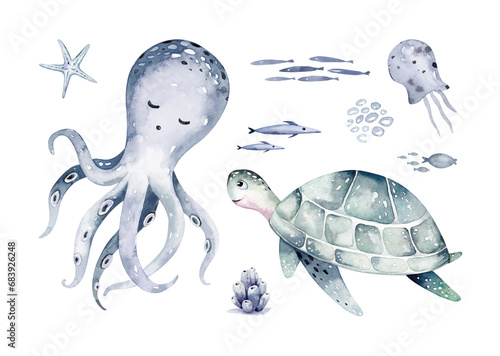 Photography Set of sea animals