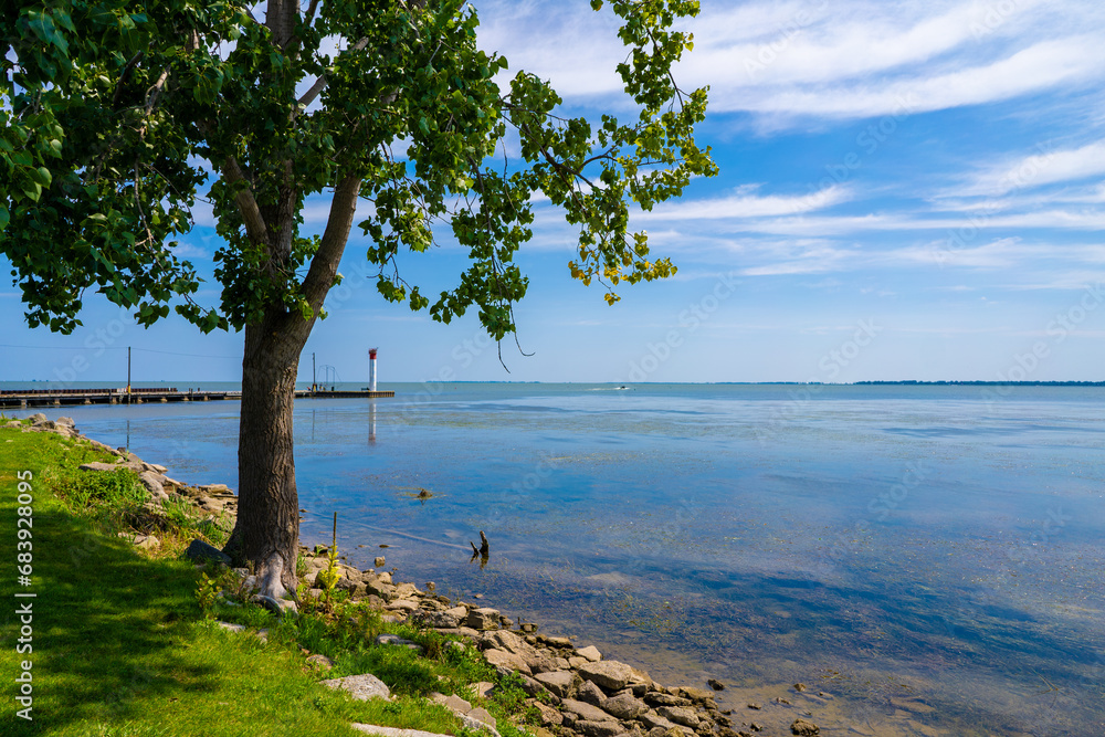 tree on the shore of Tuekey beach off of Lake Erie in Summer
