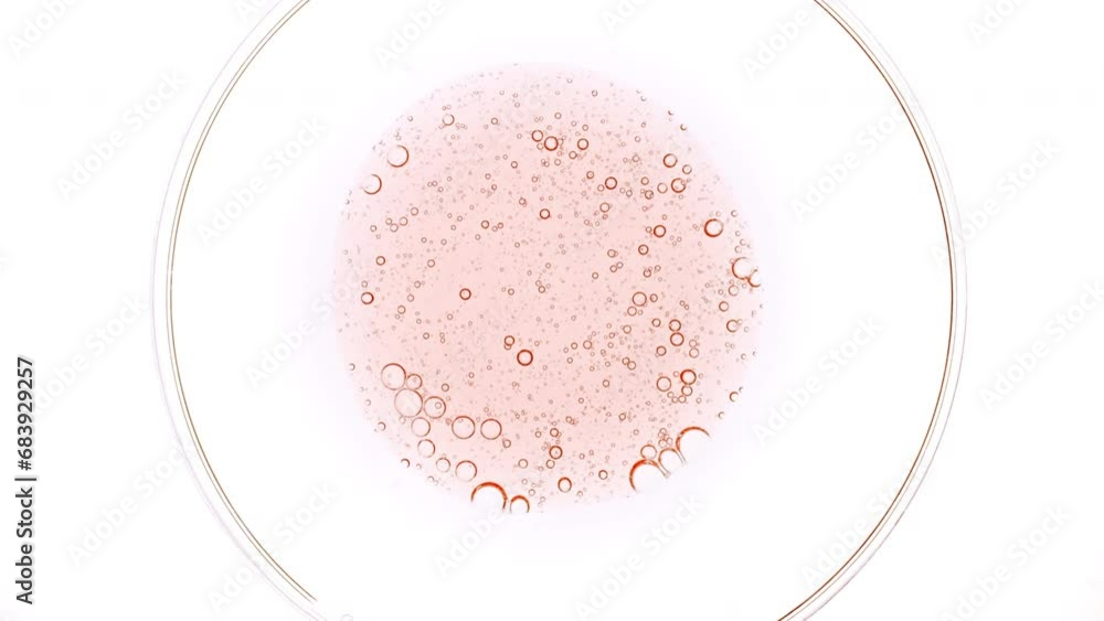 Transparent cosmetic pink gel fluid with molecule bubbles oil spreading out in petri dish. Macro Shot of Natural Organic Cosmetics, Medicine. Production Close-up. Slow Motion. High quality 4k footage Transparent cosmetic pink gel fluid with molecule bubbles oil spreading out in petri dish. Macro Shot of Natural Organic Cosmetics, Medicine. Production Close-up. Slow Motion. High quality 4k footage
