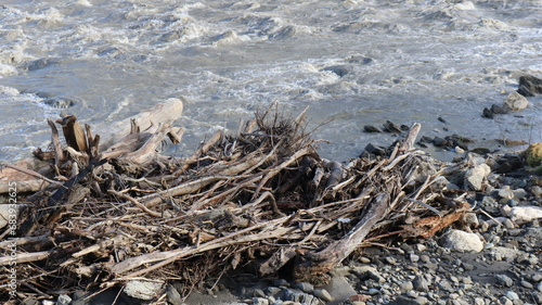 tree branches deposited by a mountain river stream lying in a pile on a rocky bank, wild river landscape as a natural texture, forest debris against the backdrop of fast flowing muddy water