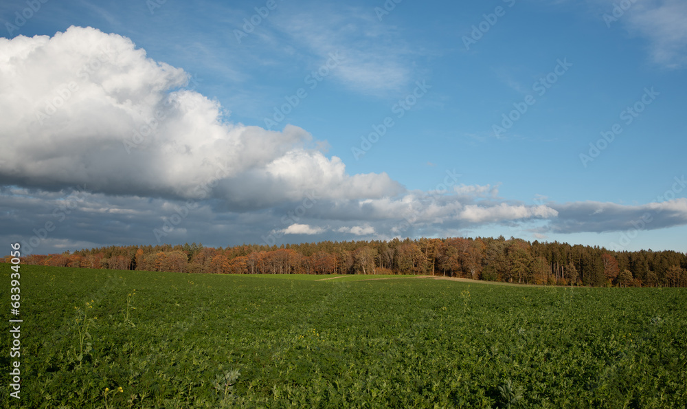Landscape shot in Bavaria in autumn. The fields are green. In the background autumn coloured trees. White clouds in front of a blue sky.