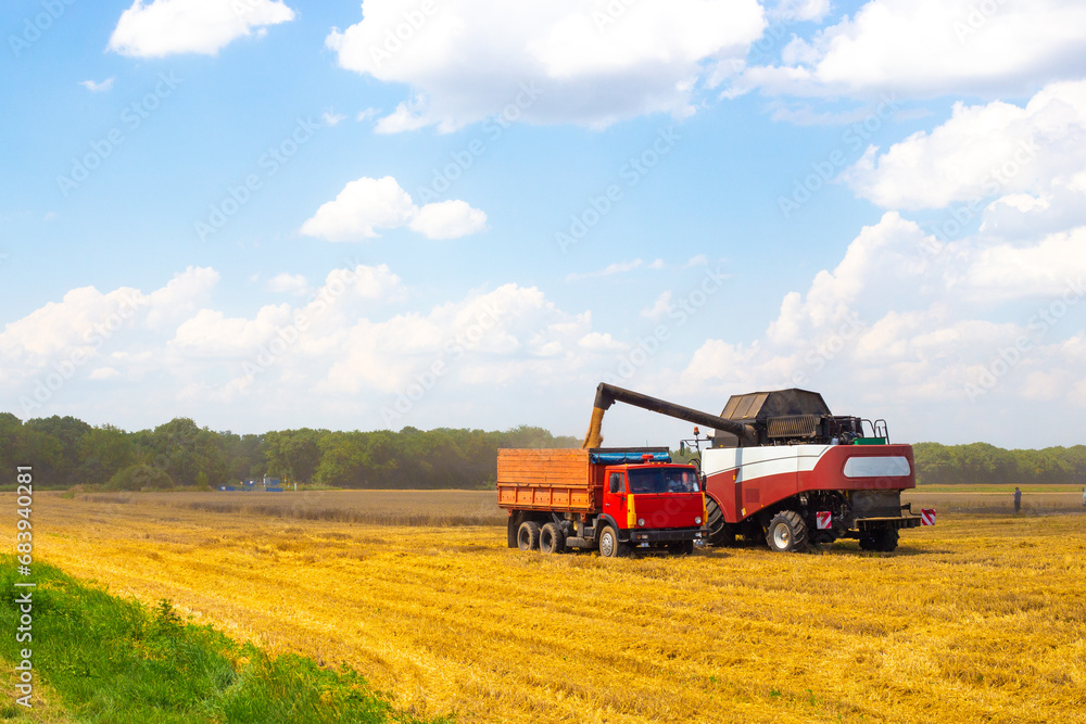 A combine harvester in a wheat field loads grain into a grain truck. Grain harvest - obrazy, fototapety, plakaty 