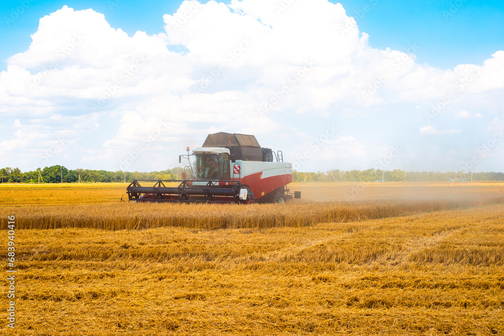 Harvester rides through the field and collects ripe wheat on a sunny autumn day Harvester rides through the field and collects ripe wheat on a sunny autumn day