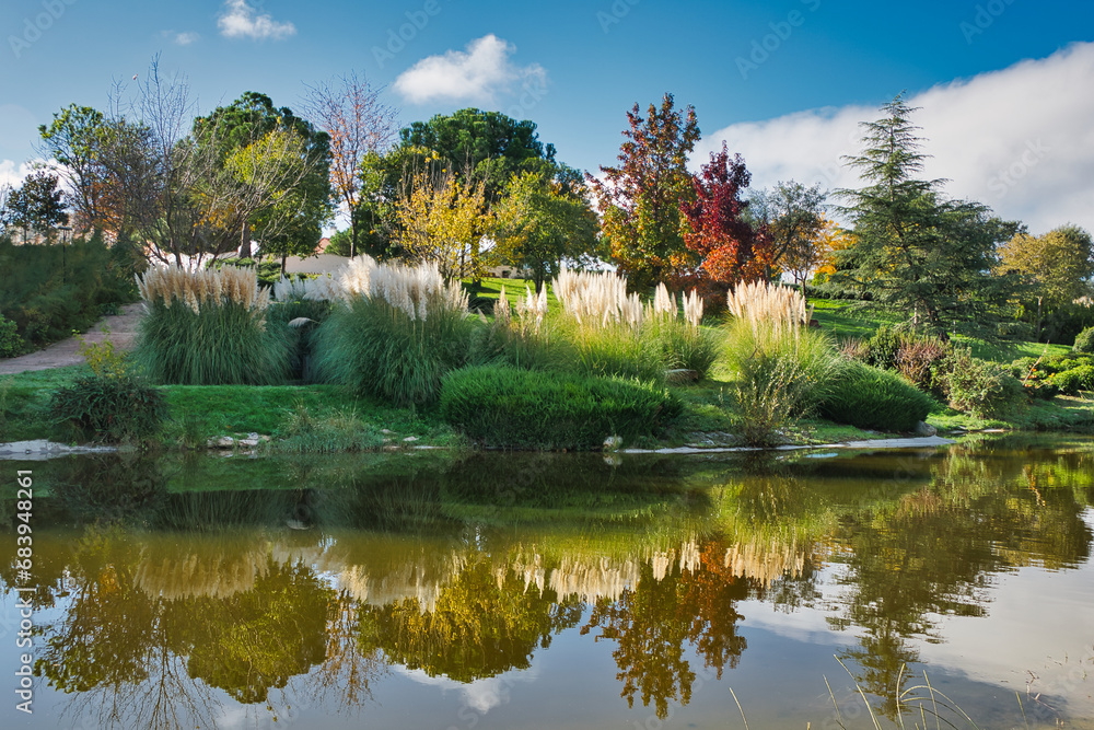 Bucolic view of a park with numerous plant species, reflected in the waters of a small lake, in Arroyomolinos, Madrid (Spain).