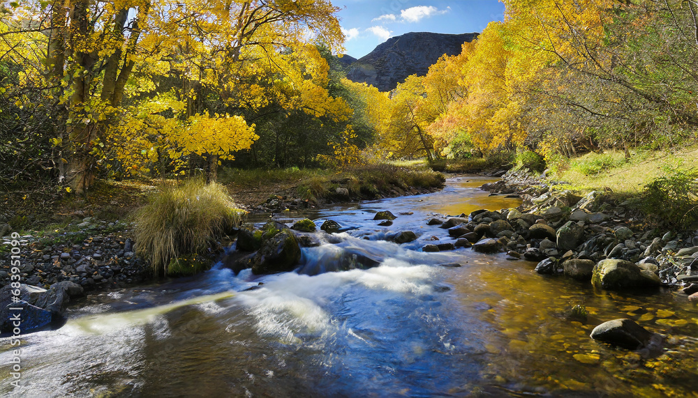 autumn colors and a stream in the catbells region, pen autumn colors and a stream in the catbells region, pen