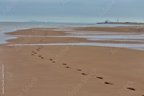 footprints on the beach photo
