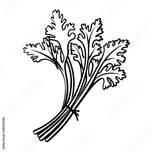 Simple Hand Drawn Illustration of Celery. SVG Vector